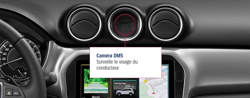 Suzuki, Vitara Display