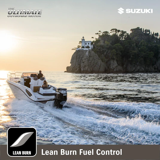 Lean burn system
