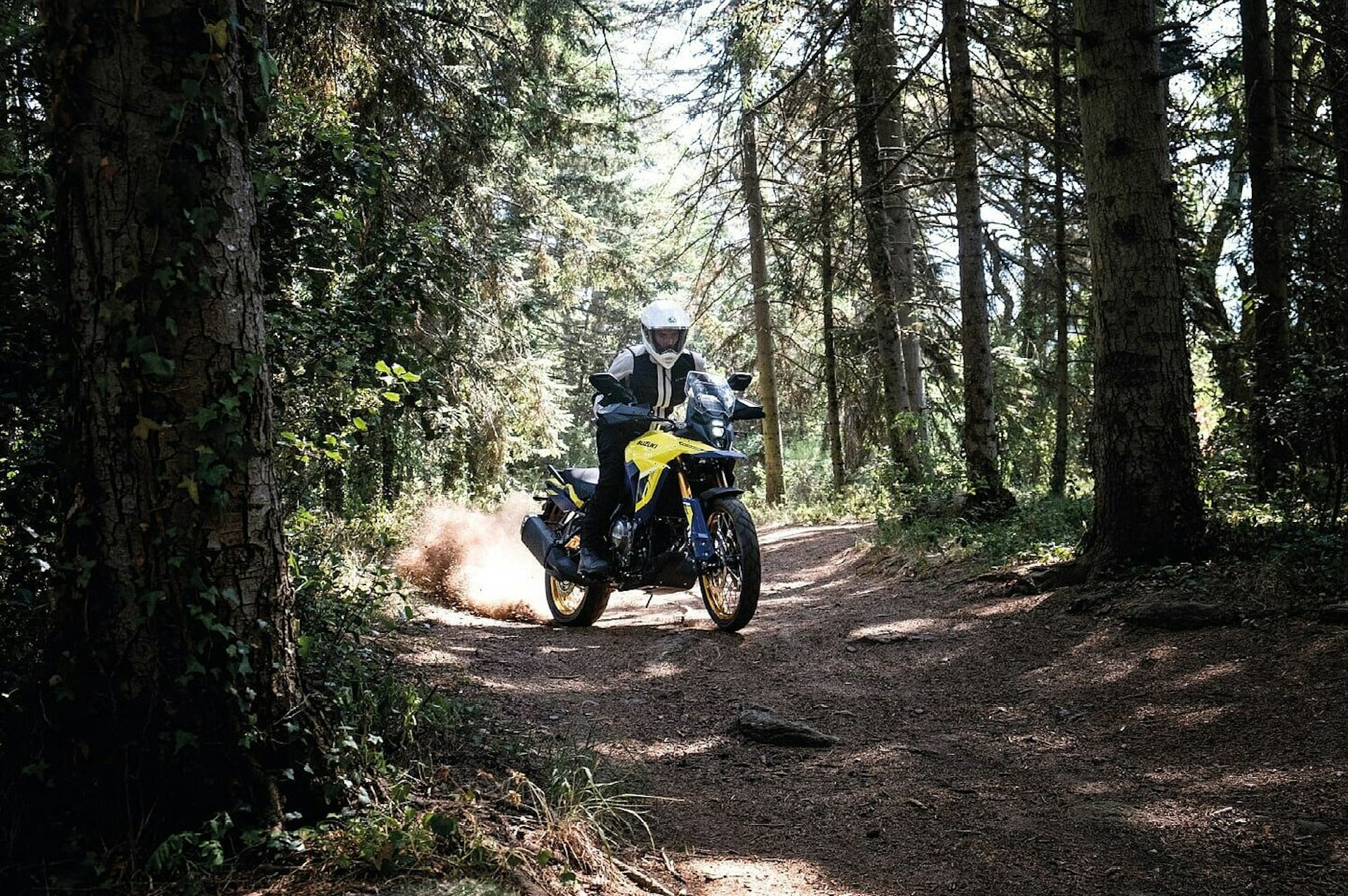 Suzuki V-Storm 800DE