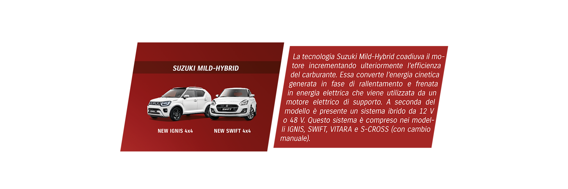 Due Suzuki mild hybrid con testo.