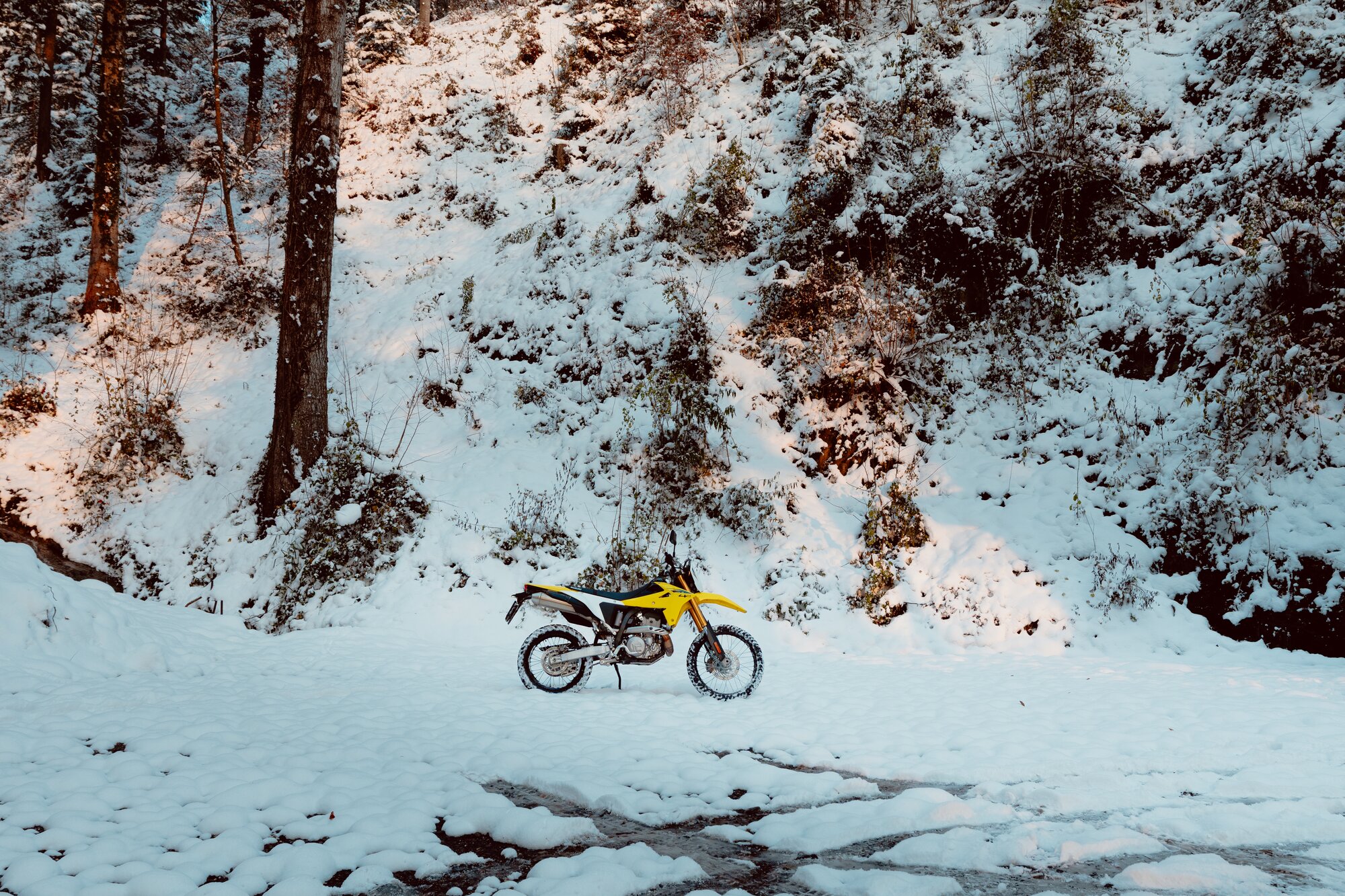 Suzuki DR-Z4S mit Fahrer