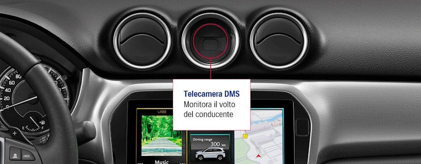 Suzuki, Vitara Display