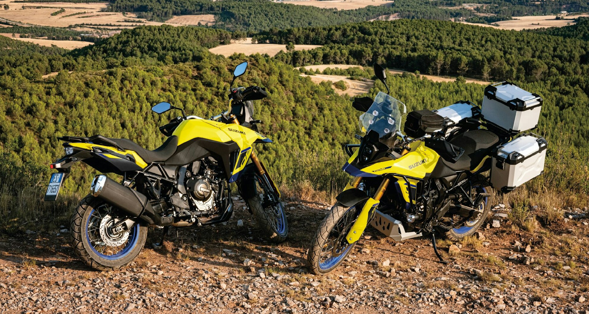 Gelbe Suzuki V-Storm 800DE im Wald