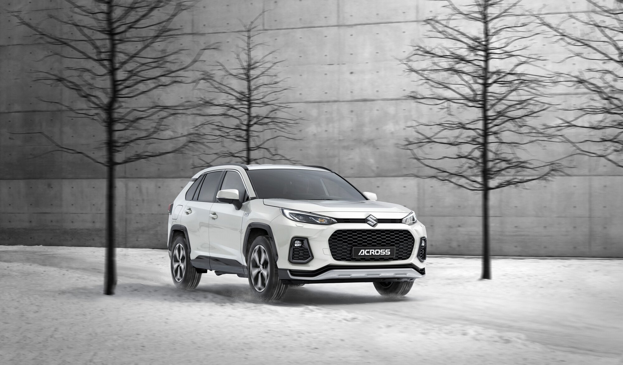 Suzuki Across im Schnee