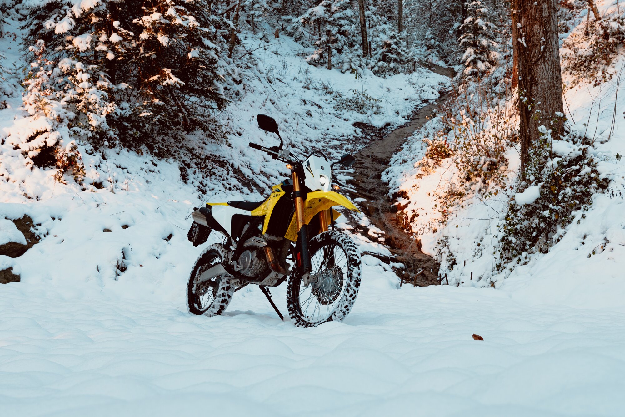 Suzuki DR-Z4S mit Fahrer