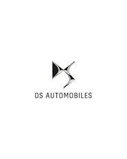 DS Logo