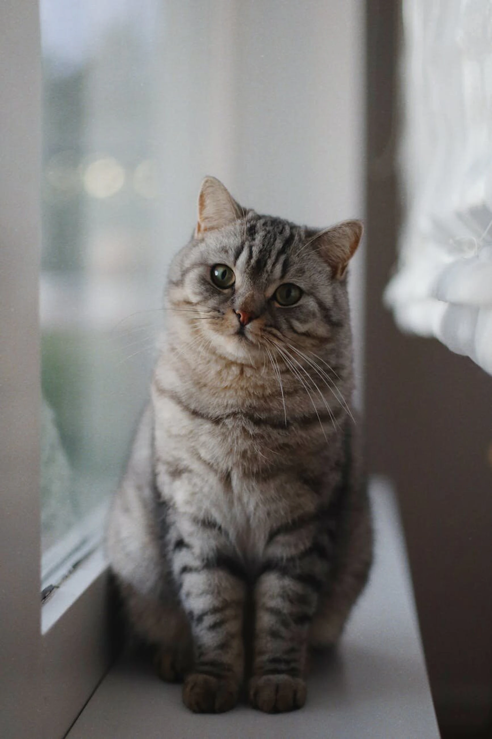 test 2