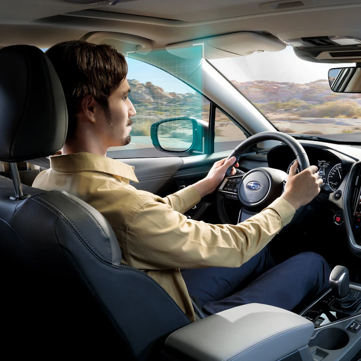 Driver Monitoring System