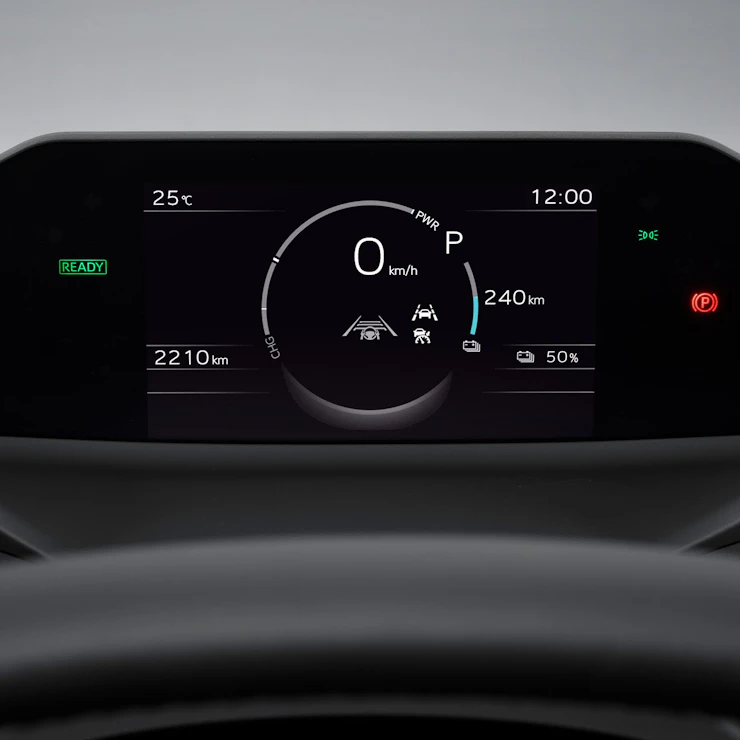 LCD-Instrument
