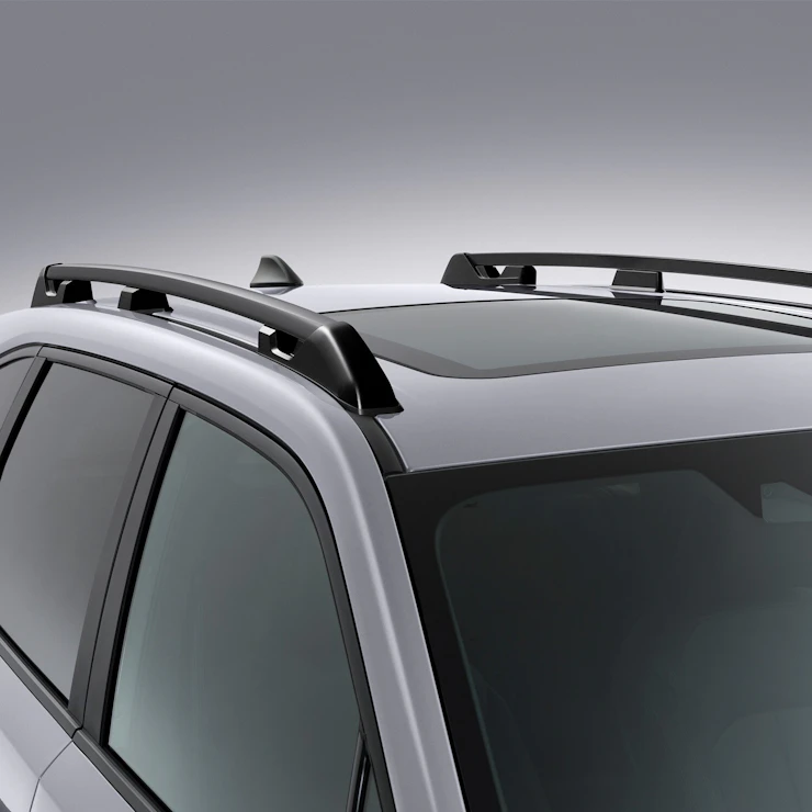 Forester Dachreling