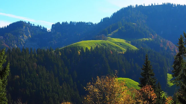 Collines du Jura