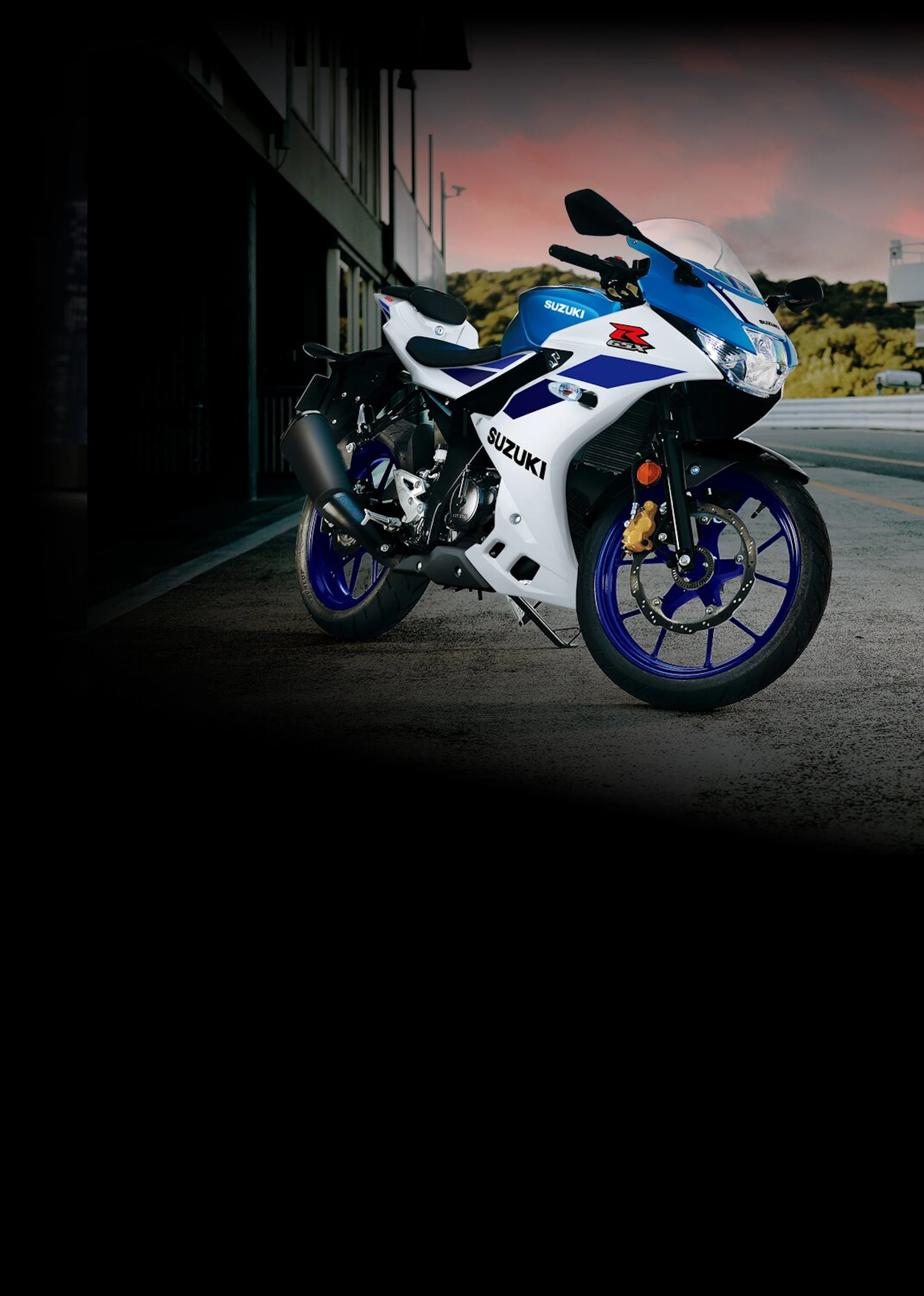Suzuki GSX-R125 | Suzuki Schweiz AG